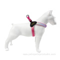 Pink-White Gradient Color Adjustable Mesh Dog Harness